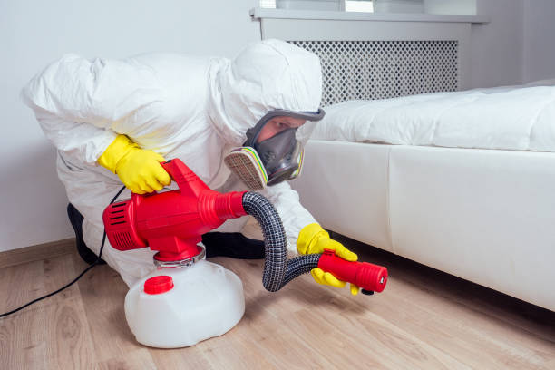 Reliable Volo, IL Pest Control Solutions