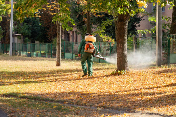 Best Bed Bug Extermination  in Volo, IL