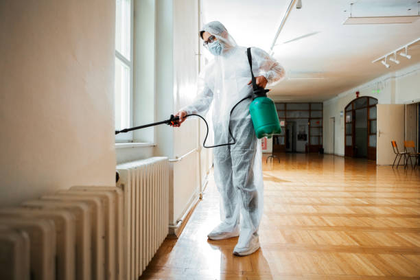 Best Wasp Removal Services  in Volo, IL